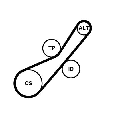 11287636377CT 7PK1635 V-Ribbed Belt